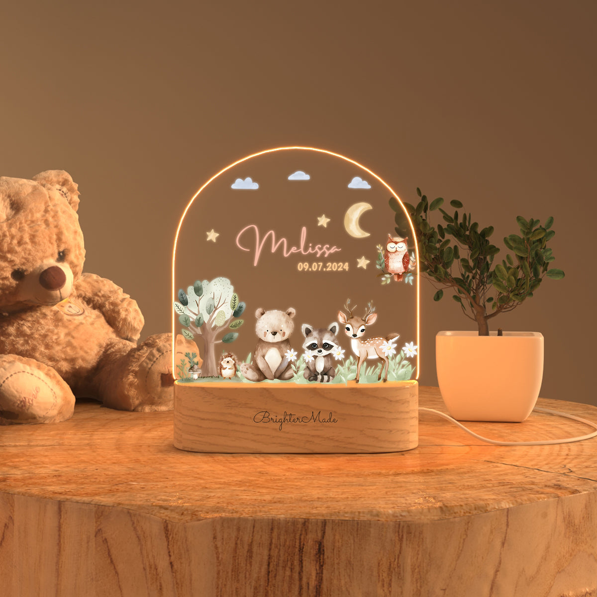 Animal Friends - Personalized Night Light